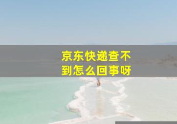 京东快递查不到怎么回事呀