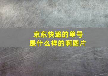 京东快递的单号是什么样的啊图片