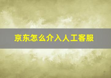 京东怎么介入人工客服