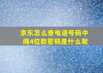 京东怎么查电话号码中间4位数密码是什么呢