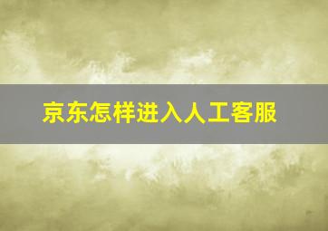 京东怎样进入人工客服