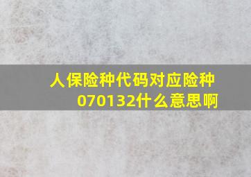 人保险种代码对应险种070132什么意思啊