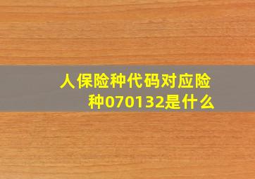 人保险种代码对应险种070132是什么