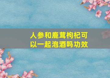 人参和鹿茸枸杞可以一起泡酒吗功效