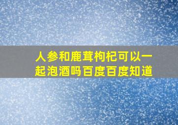 人参和鹿茸枸杞可以一起泡酒吗百度百度知道