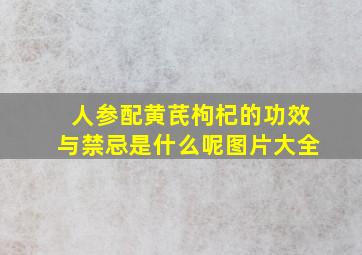 人参配黄芪枸杞的功效与禁忌是什么呢图片大全