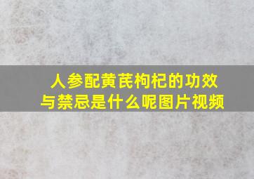 人参配黄芪枸杞的功效与禁忌是什么呢图片视频