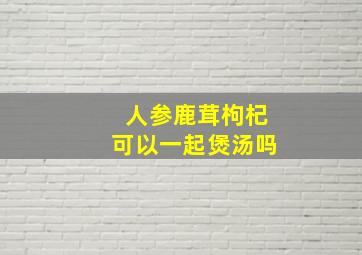 人参鹿茸枸杞可以一起煲汤吗