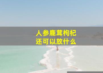 人参鹿茸枸杞还可以放什么