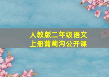 人教版二年级语文上册葡萄沟公开课