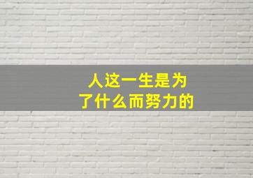 人这一生是为了什么而努力的