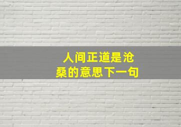 人间正道是沧桑的意思下一句