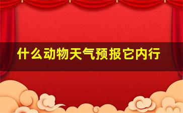 什么动物天气预报它内行