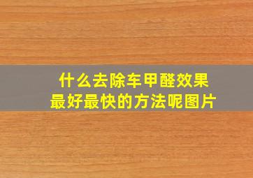 什么去除车甲醛效果最好最快的方法呢图片