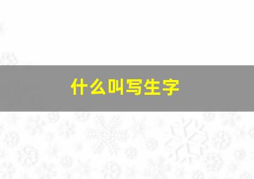 什么叫写生字