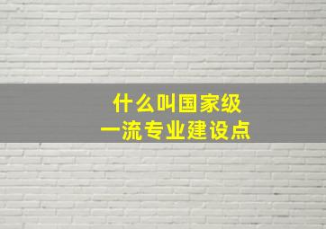 什么叫国家级一流专业建设点