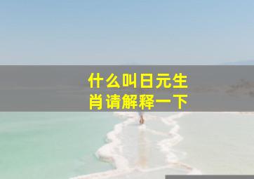 什么叫日元生肖请解释一下