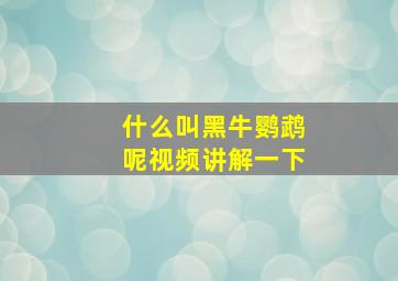 什么叫黑牛鹦鹉呢视频讲解一下