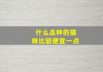 什么品种的猫咪比较便宜一点