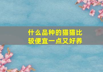 什么品种的猫猫比较便宜一点又好养