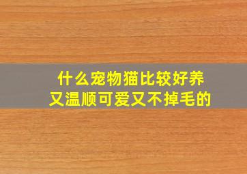 什么宠物猫比较好养又温顺可爱又不掉毛的