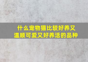 什么宠物猫比较好养又温顺可爱又好养活的品种