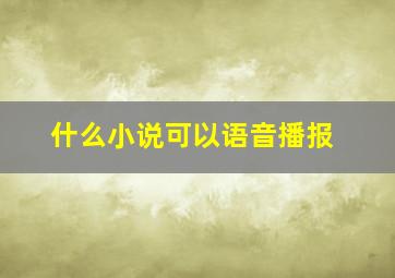 什么小说可以语音播报