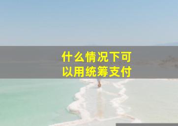 什么情况下可以用统筹支付