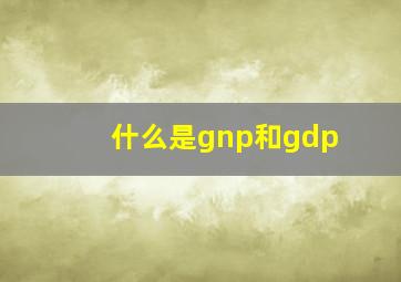 什么是gnp和gdp