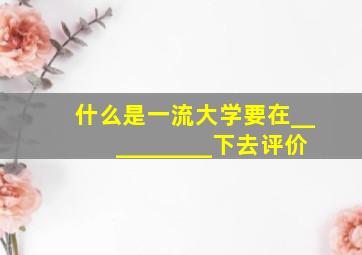 什么是一流大学要在__________下去评价