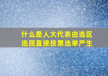 什么是人大代表由选区选民直接投票选举产生