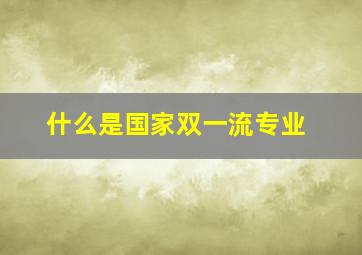 什么是国家双一流专业