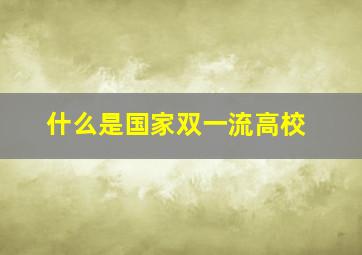 什么是国家双一流高校