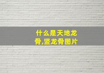 什么是天地龙骨,竖龙骨图片