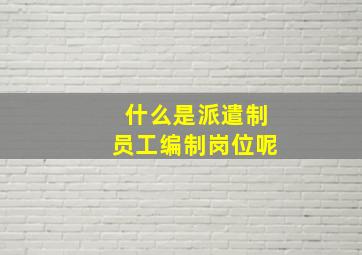 什么是派遣制员工编制岗位呢