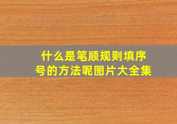 什么是笔顺规则填序号的方法呢图片大全集