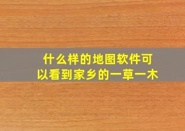 什么样的地图软件可以看到家乡的一草一木