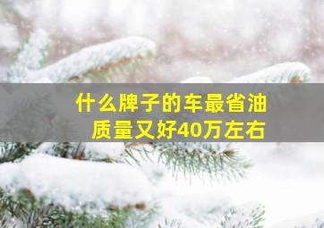 什么牌子的车最省油质量又好40万左右