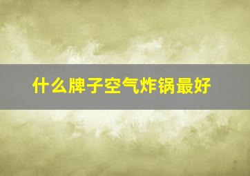 什么牌子空气炸锅最好