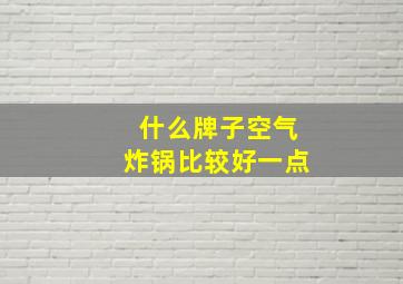 什么牌子空气炸锅比较好一点