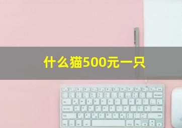 什么猫500元一只