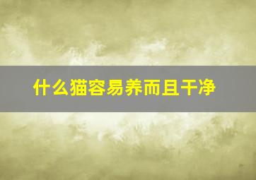 什么猫容易养而且干净