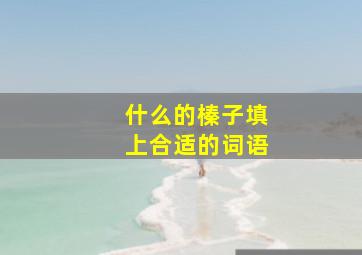 什么的榛子填上合适的词语