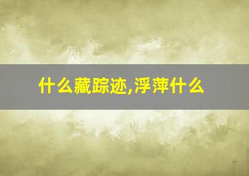 什么藏踪迹,浮萍什么