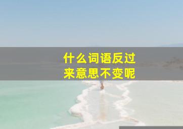 什么词语反过来意思不变呢