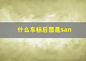 什么车标后面是san