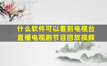 什么软件可以看到电视台直播电视剧节目回放视频