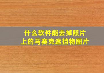 什么软件能去掉照片上的马赛克遮挡物图片