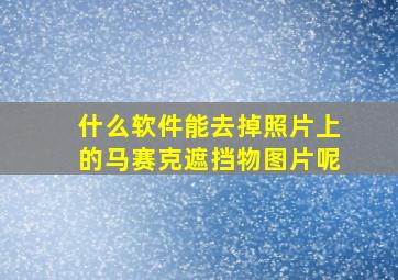 什么软件能去掉照片上的马赛克遮挡物图片呢