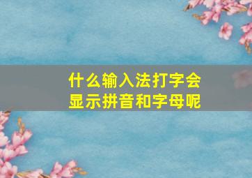 什么输入法打字会显示拼音和字母呢